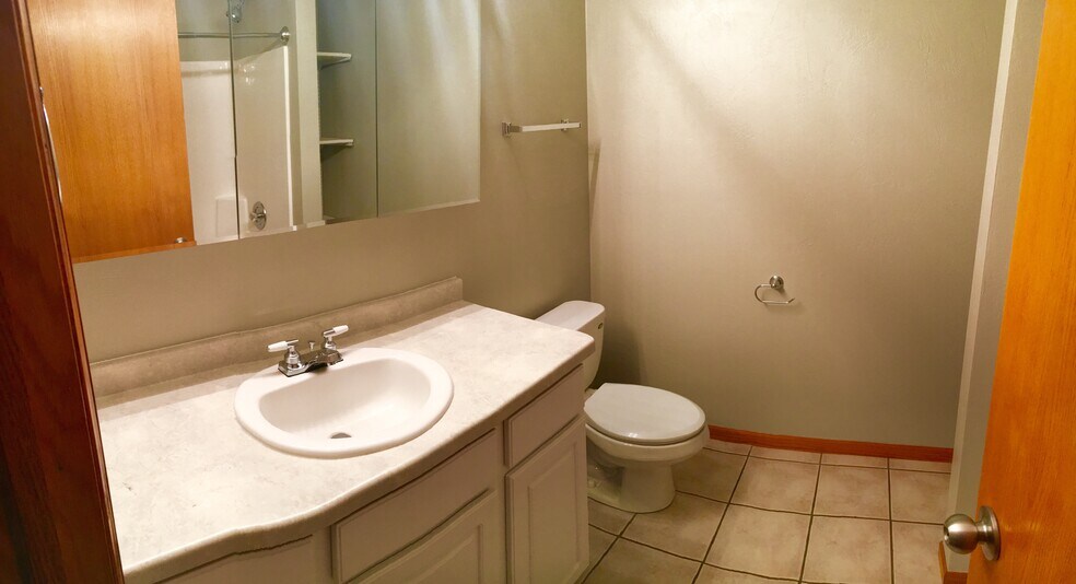 Main bathroom with 48" vanity, medicine cabinet, storage shelves, one piece tub and shower surround. - 325 Cordy Lane