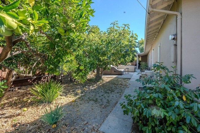 Building Photo - 245 Alviso St