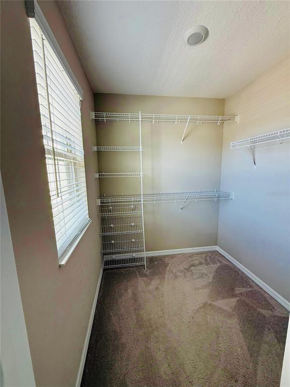 Building Photo - 294 Cedar Bark Ln