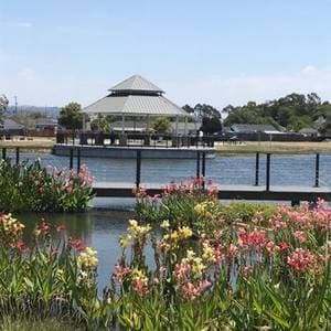 Building Photo - 1992 Bandoni Ave