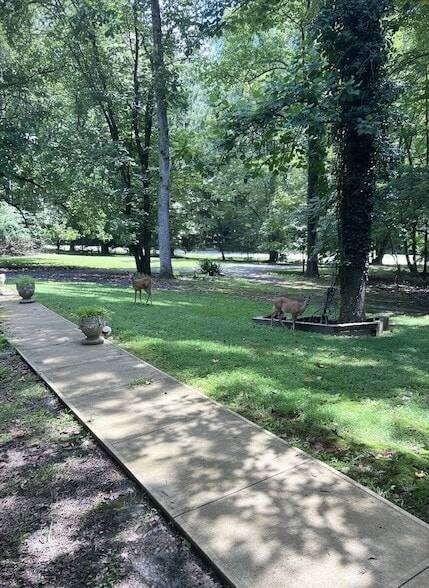 Building Photo - 11704 Woodland Dr