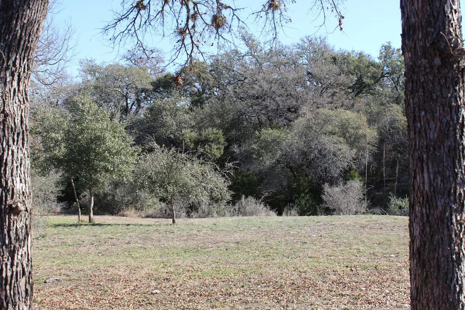 Building Photo - 299 Willow Springs Dr