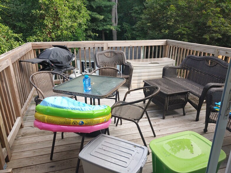 Deck- now freshly painted pale grey and white rails - 623 Old West Central St