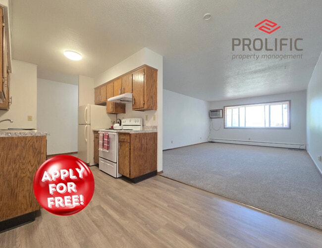 Updated 1-Bedroom, $779 - North Ridge