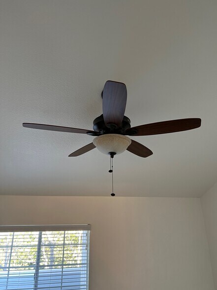 Master Bedroom - 23412 Pacific Park Dr