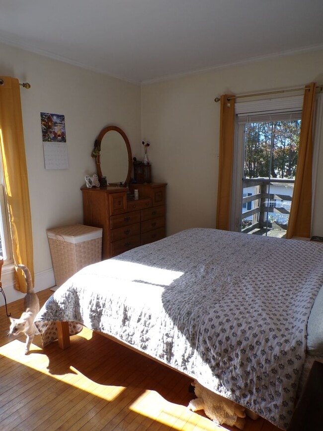 Building Photo - 205 Main St