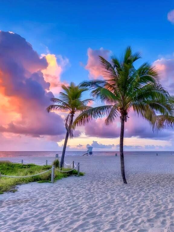 Building Photo - 1541 S Ocean Blvd