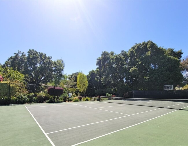 Building Photo - Atherton Estate with Pool and Sports Court!