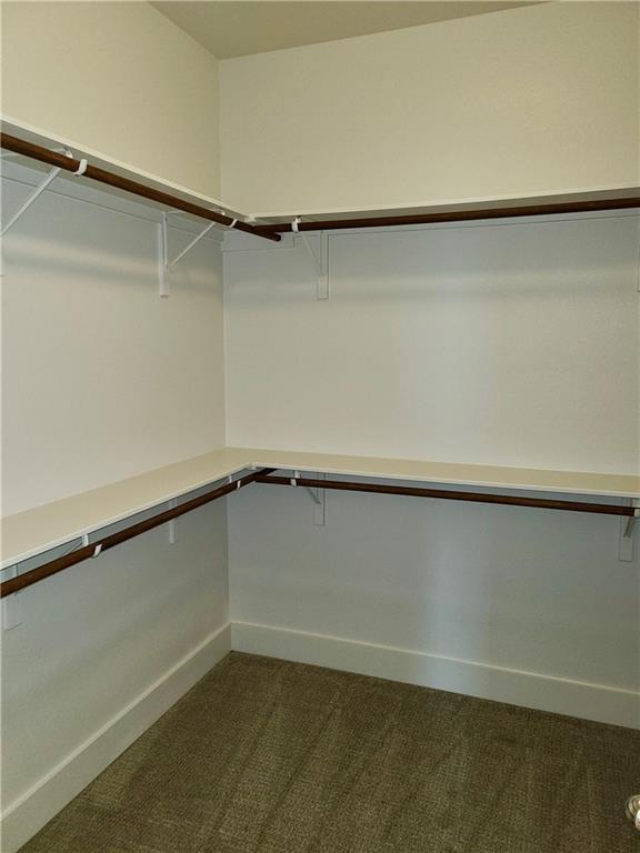 Building Photo - 1265 Summerbrooke Cir