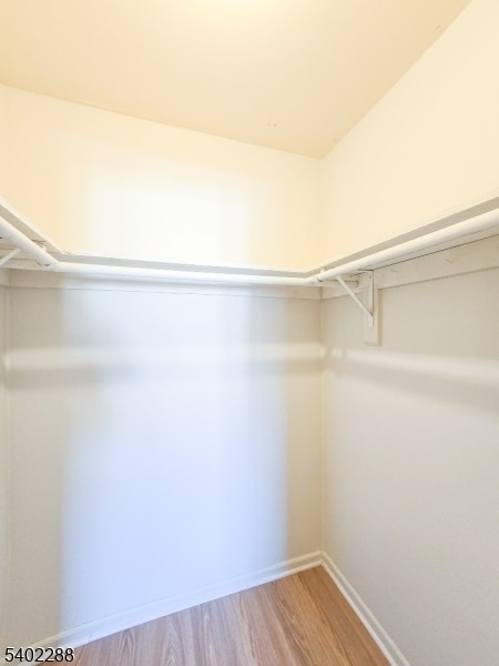 Building Photo - 1302 Bradley Ct