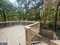 Building Photo - 9612 Dominion Forest Cir