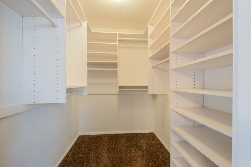 Building Photo - 5305 Springtrail Dr