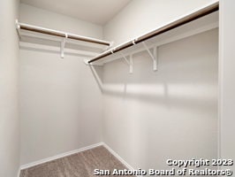 Building Photo - 9919 Grove Mist