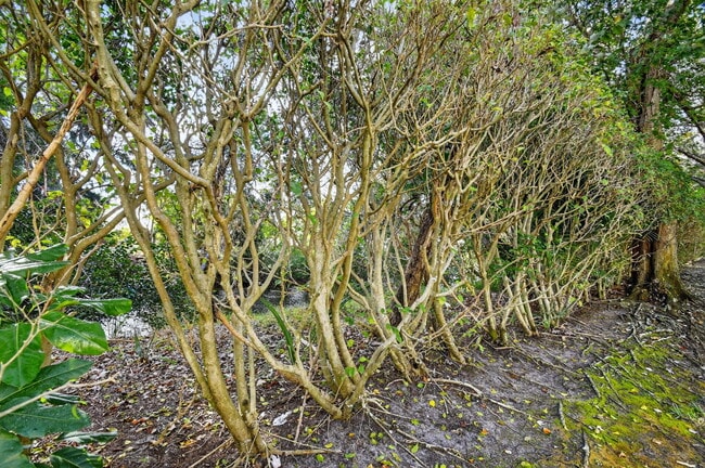 Building Photo - 5015 Palmbrooke Cir