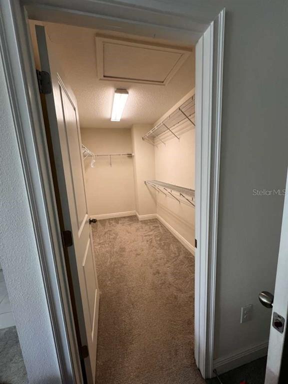 Building Photo - 14234 Damselfly Dr