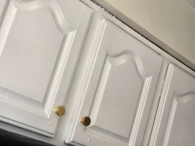 Building Photo - 2445 Brookwood St