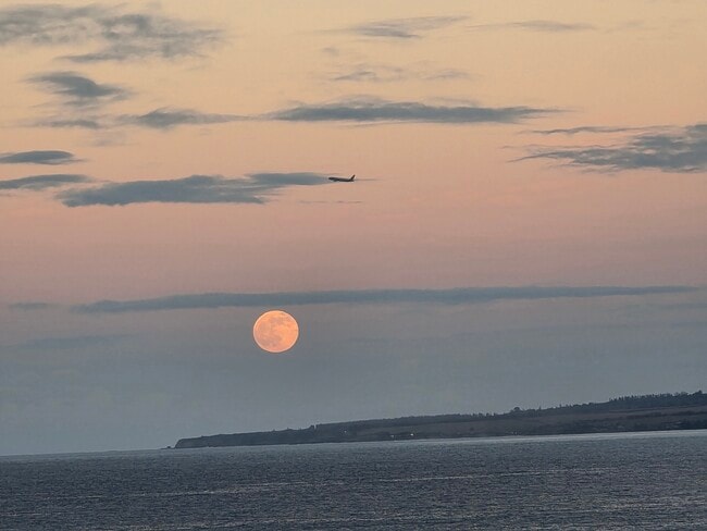 Building Photo - 1367 Kakae Pl