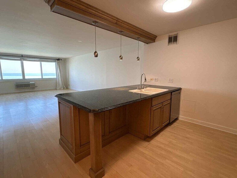 Building Photo - 1440 N Lake Shore Dr