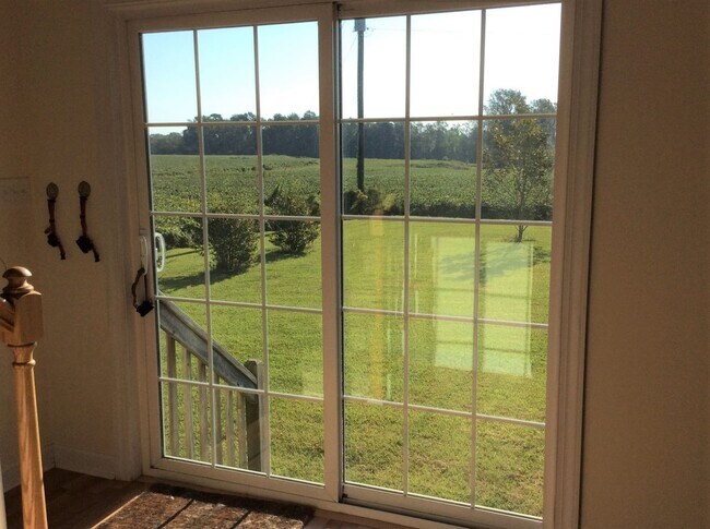 Building Photo - 416 True Vine Rd