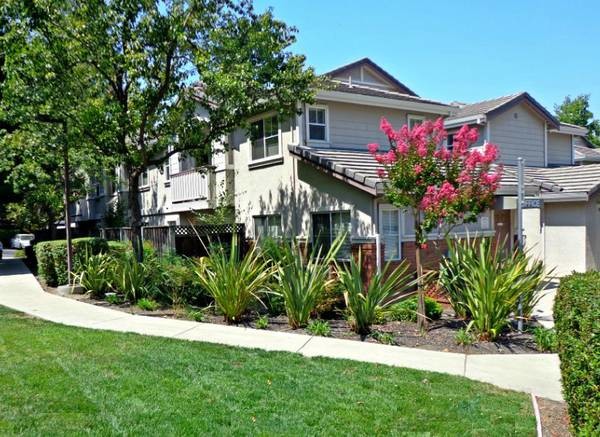 Building Photo - Sequoia Grove