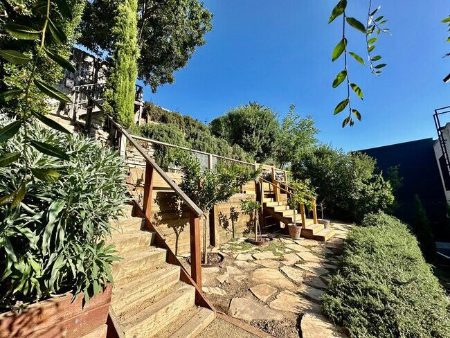 Backyard Tier 3 - 1521 Parmer Ave