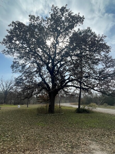 Building Photo - 1001 S Boundary St