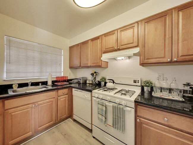 Floorplan - 3700 International Boulevard