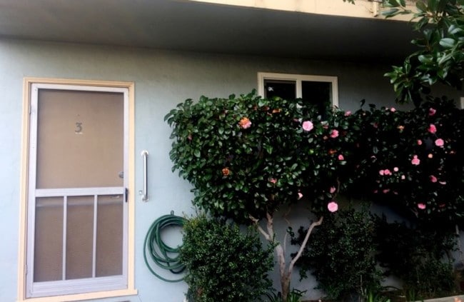 Building Photo - NEW LISTING! Walk 1 Block To Downtown! LG. 1 BR/1BA, Hdwd Flrs,Big Walk-In Closet!