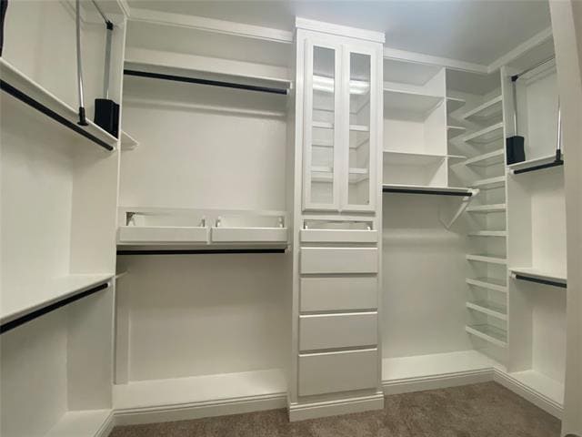 Building Photo - 800 Gray Hawk Ln