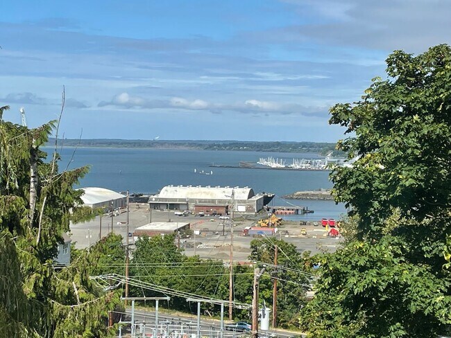 Building Photo - 717 N Forest St