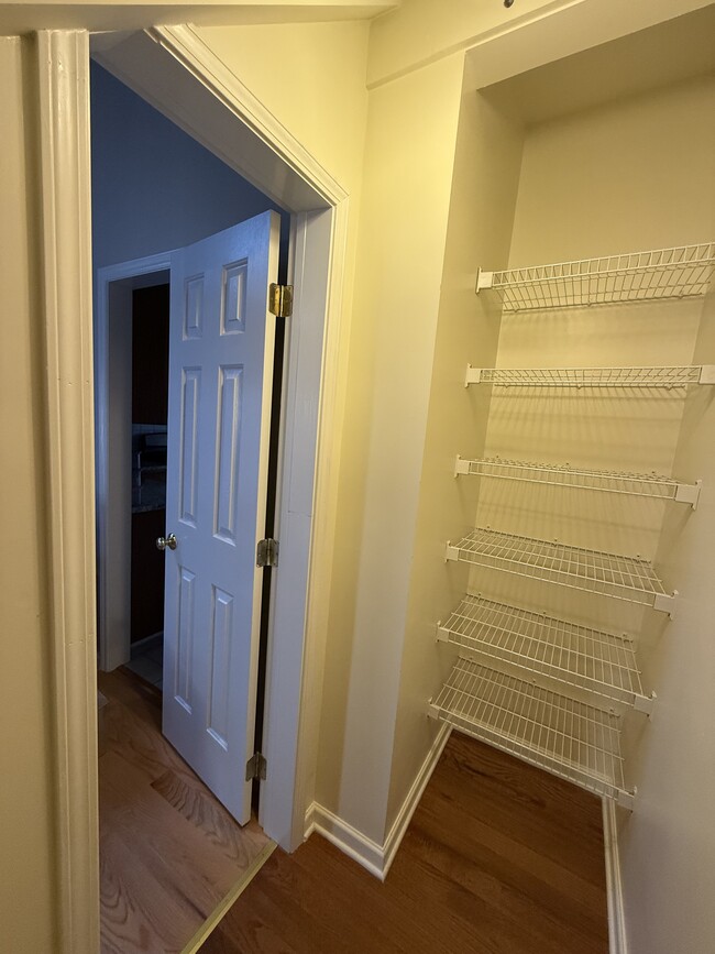 downstairs storage closet - 110 Sudbury Ln