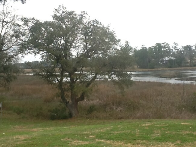 Building Photo - SEAGATE VILLAGE - Located off Greenville A...
