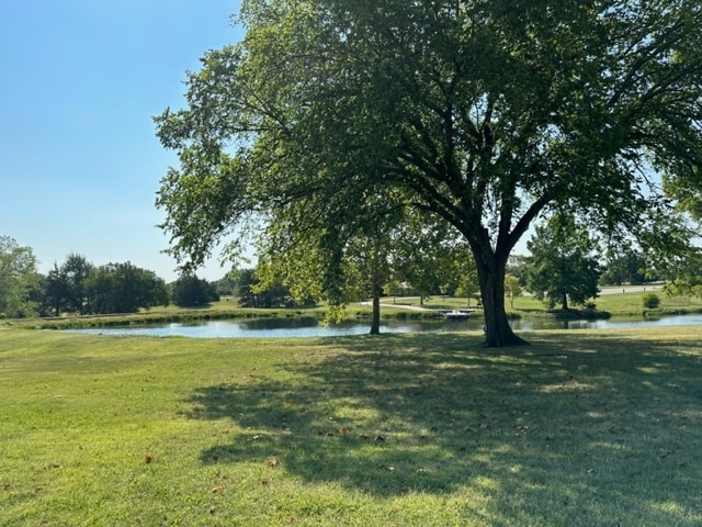 Jones Park 2 - Four Seasons