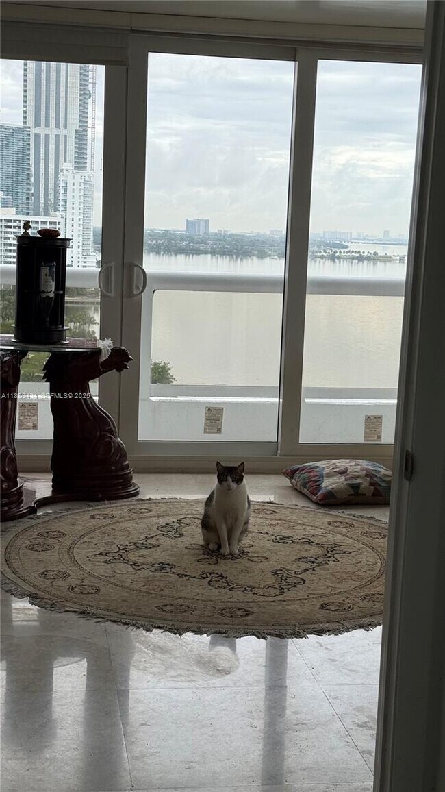 Building Photo - 1717 N Bayshore Dr