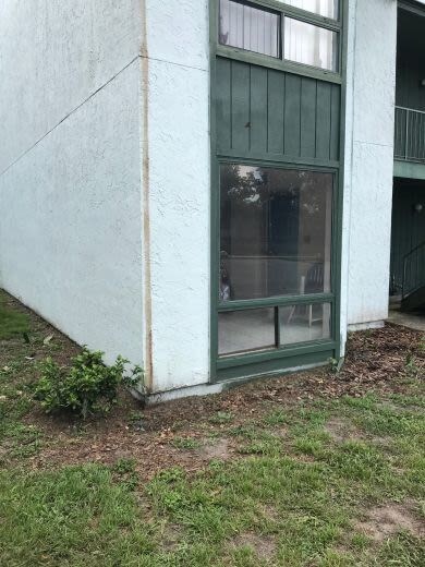 Building Photo - 2616 Lemon Tree Ln