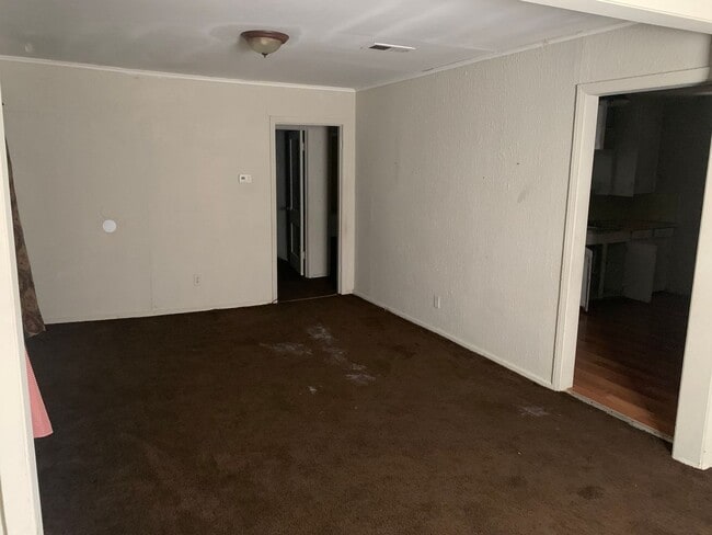 Building Photo - 1447 Alma St