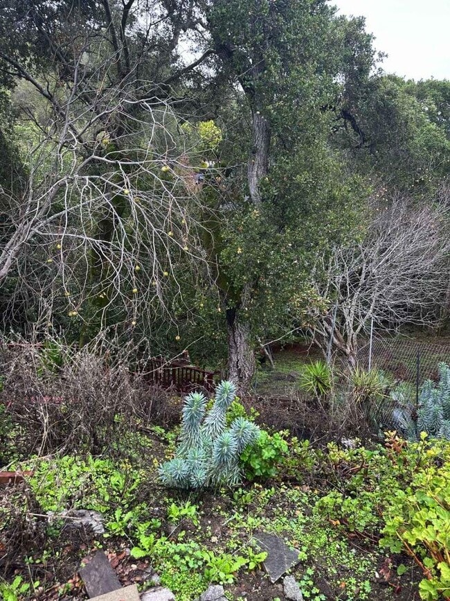 Building Photo - 25 Vía Delizia