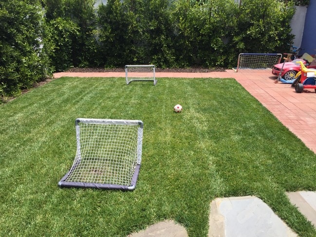 back yard - 2457 Ashland Ave