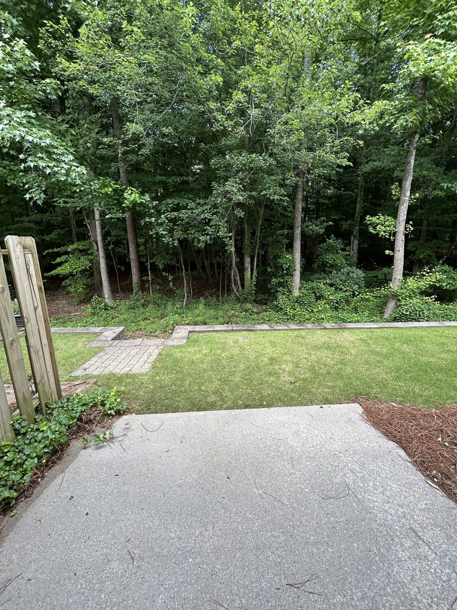 Building Photo - 2903 Greyhawk Ln