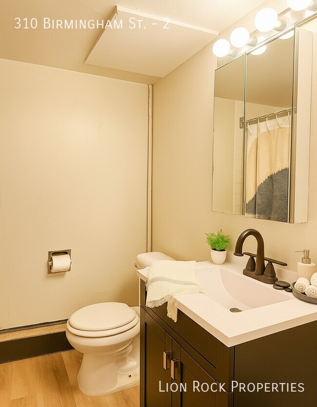 Building Photo - 310 Birmingham St