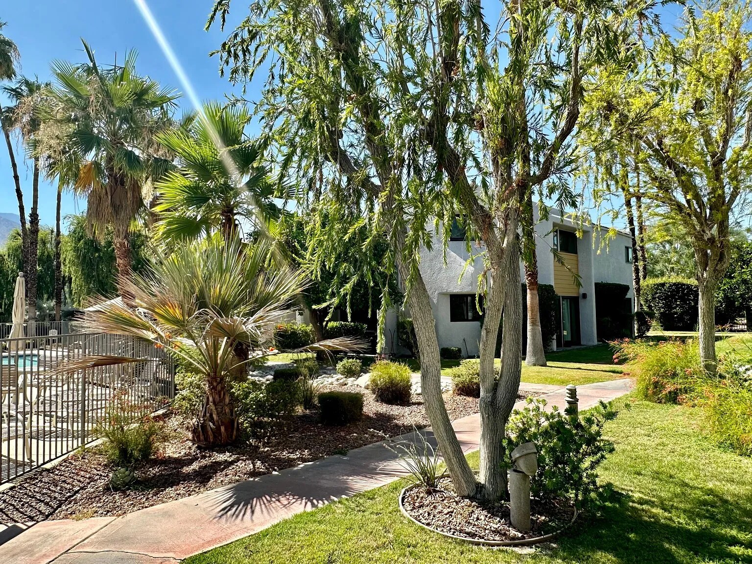 Building Photo - 3155 E Ramon Rd