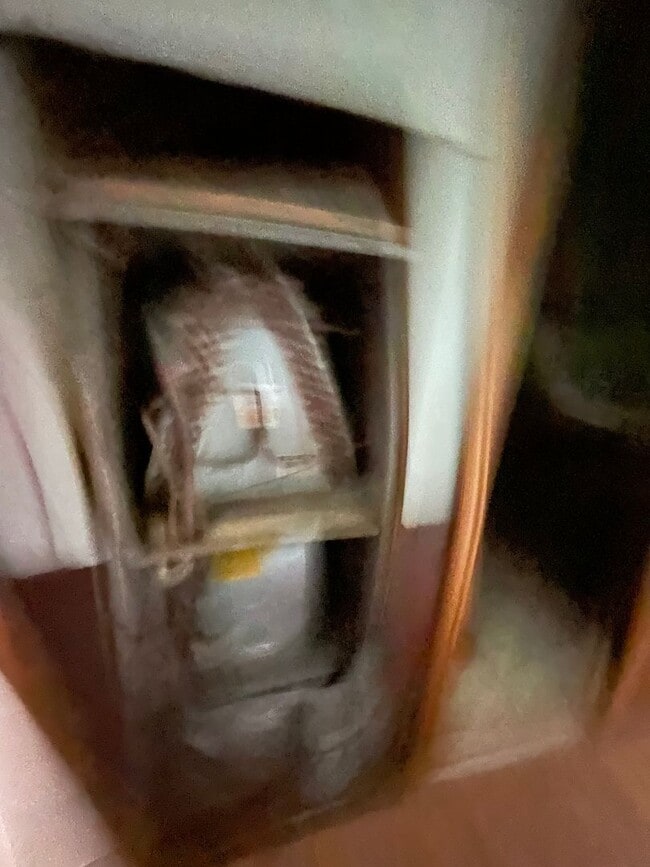 Building Photo - Country living with spacious front and backyard - 3 beds/ 2bath available now