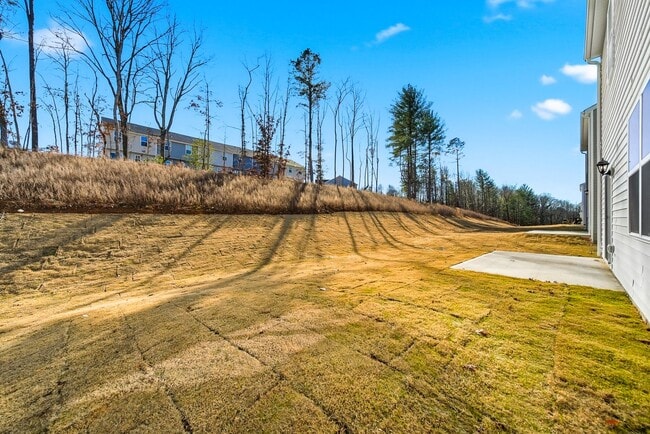 Building Photo - New Construction 4BR/3BA Home with 2-Car Garage in The Falls at Hickory