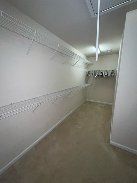 Building Photo - 4010 Daylilly Rd