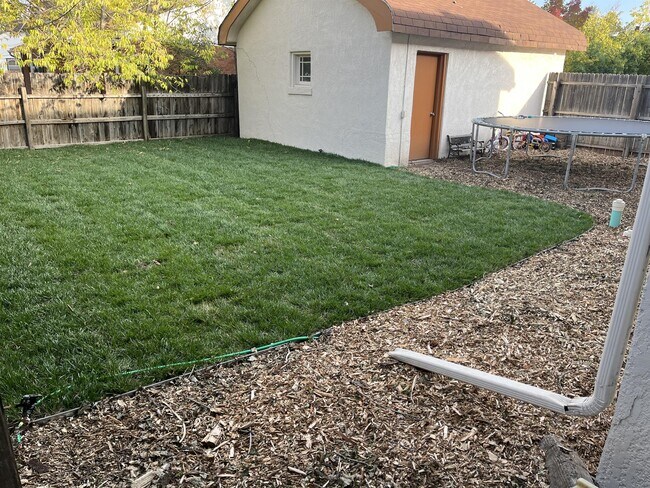 Building Photo - 1536 Peterson St