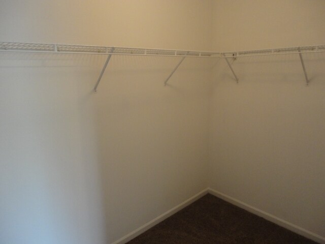 Building Photo - 558 Alcott Ln