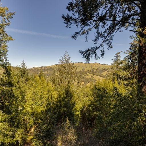 Building Photo - 25 Fir Ave