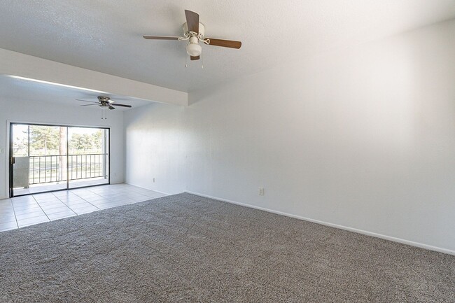 Building Photo - NEW CARPET!