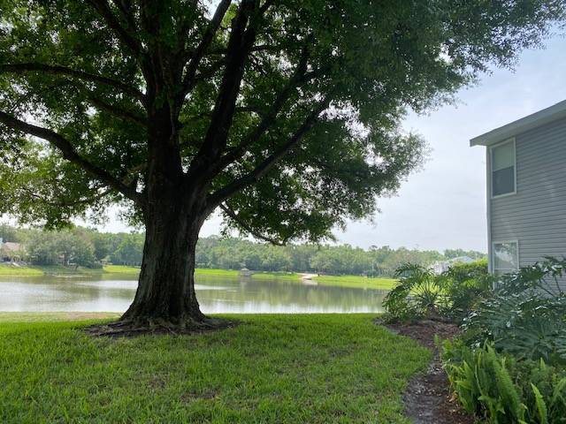 Building Photo - 2553 Grassy Point Dr