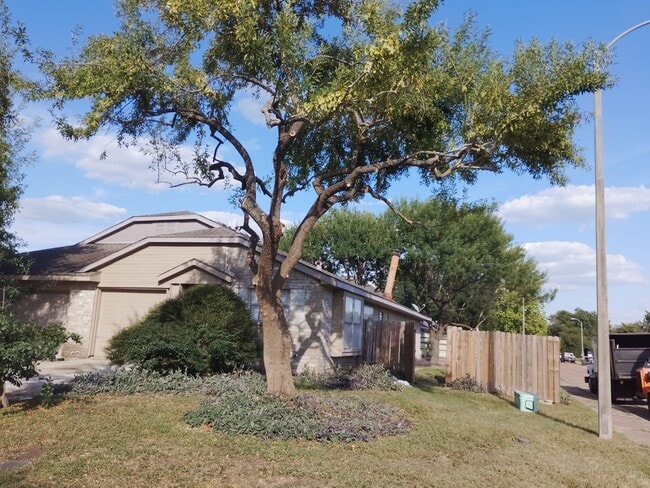 Building Photo - 11002 Longtom Ct